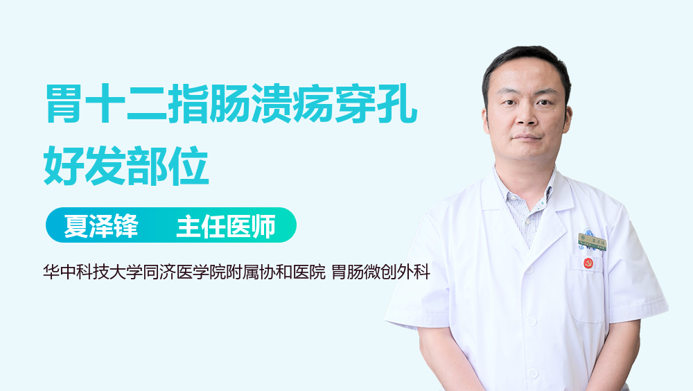 胃十二指肠溃疡穿孔好发部位