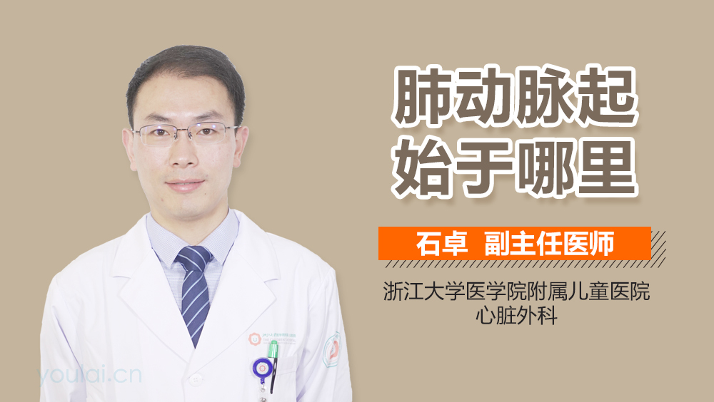 肺动脉起始于哪里