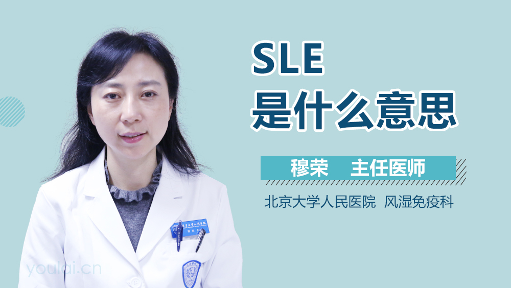 SLE是什么意思