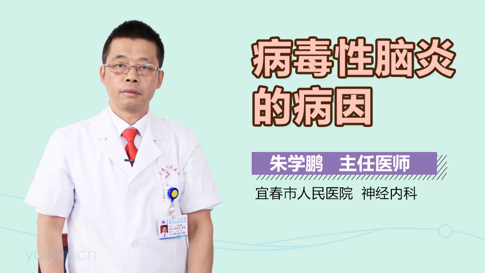 病毒性脑炎的病因