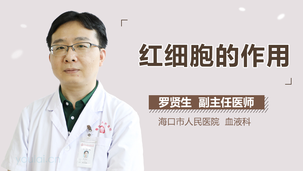 红细胞的作用