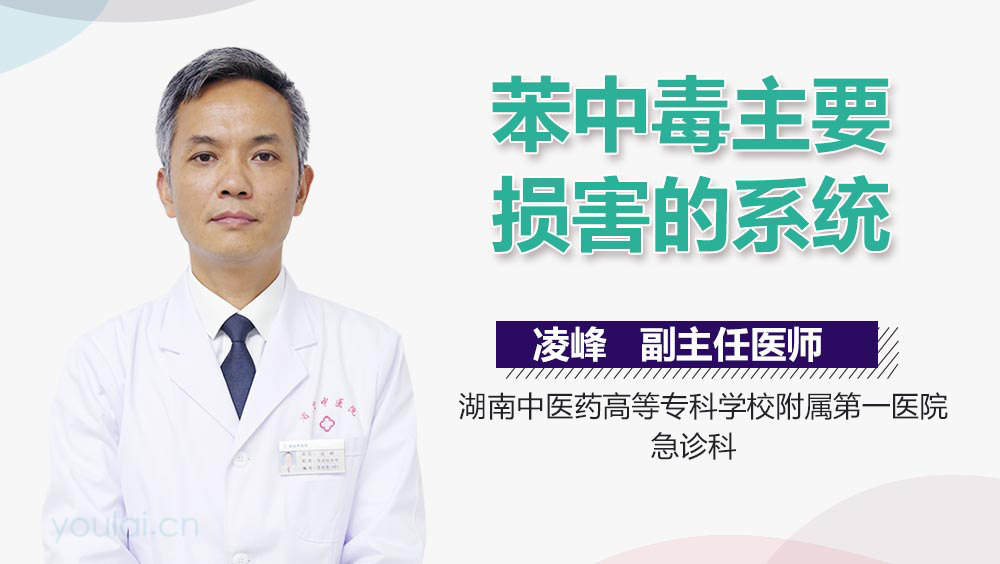 苯中毒主要损害的系统