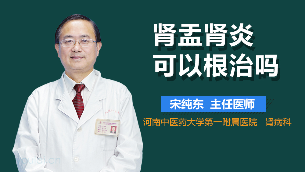 肾盂肾炎可以根治吗