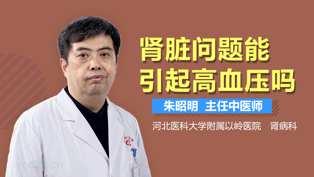 肾脏问题能引起高血压吗