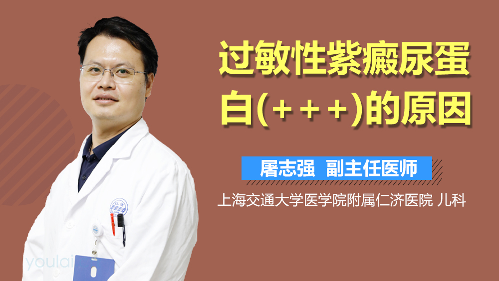 过敏性紫癜尿蛋白(+++)的原因