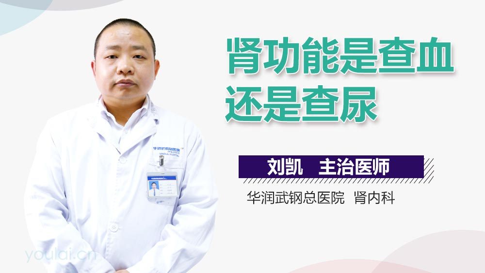 肾功能是查血还是查尿