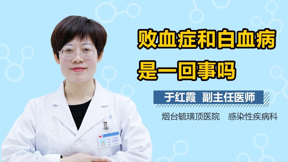 败血症和白血病是一回事吗