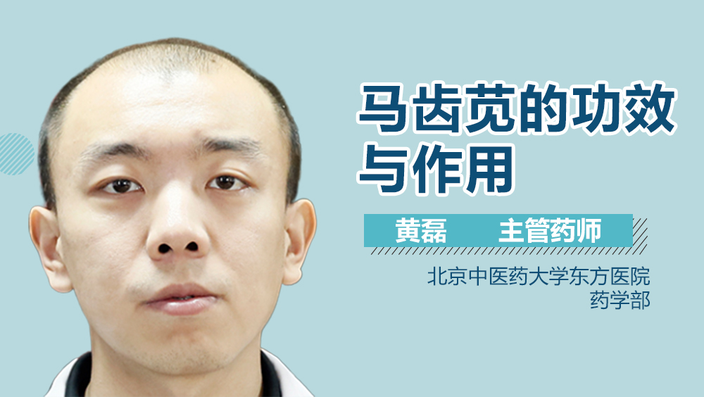 马齿苋的功效与作用