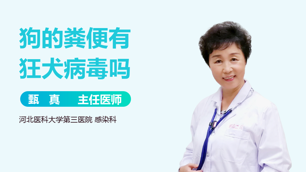 狗的粪便有狂犬病毒吗