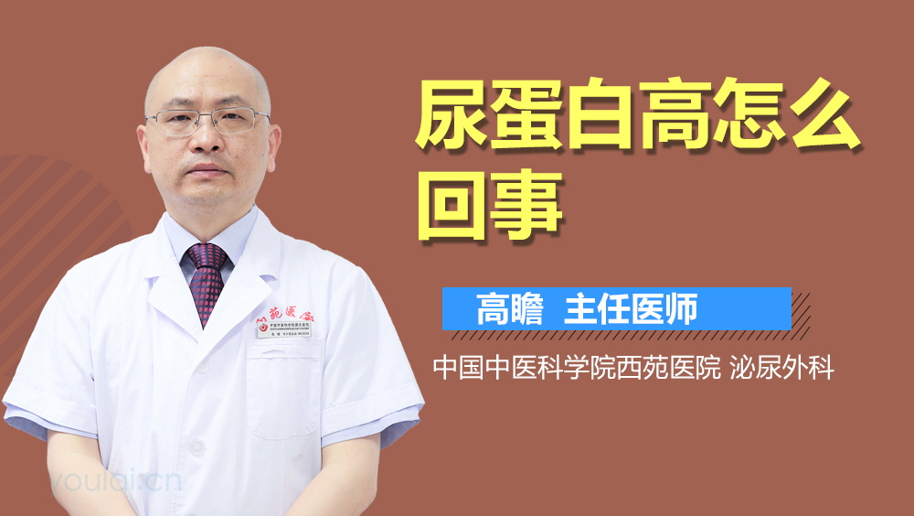 尿蛋白高怎么回事