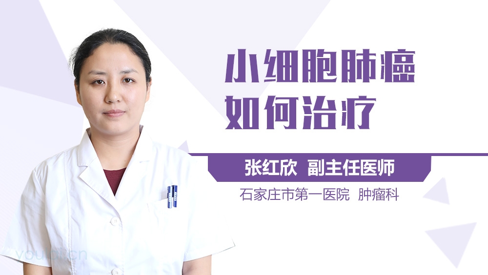 小细胞肺癌如何治疗