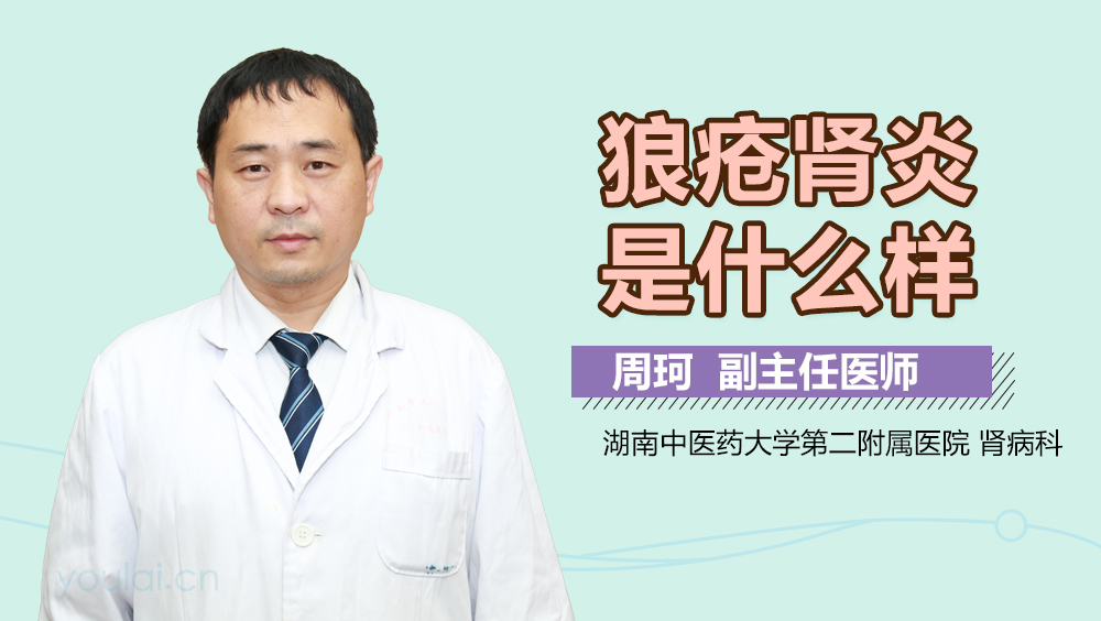 狼疮肾炎是什么样