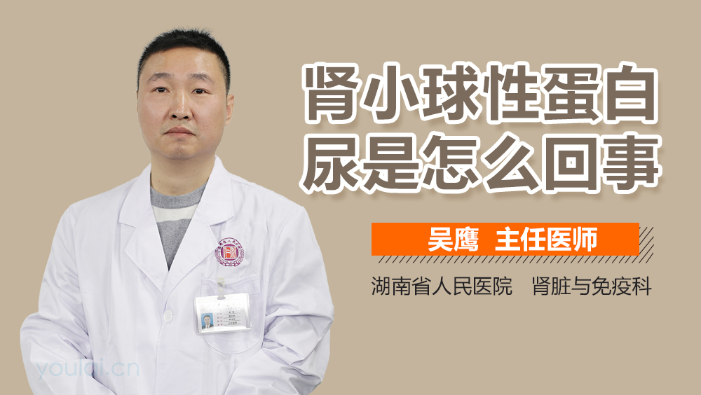 肾小球性蛋白尿是怎么回事