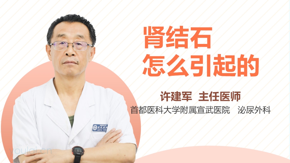 肾结石怎么引起的