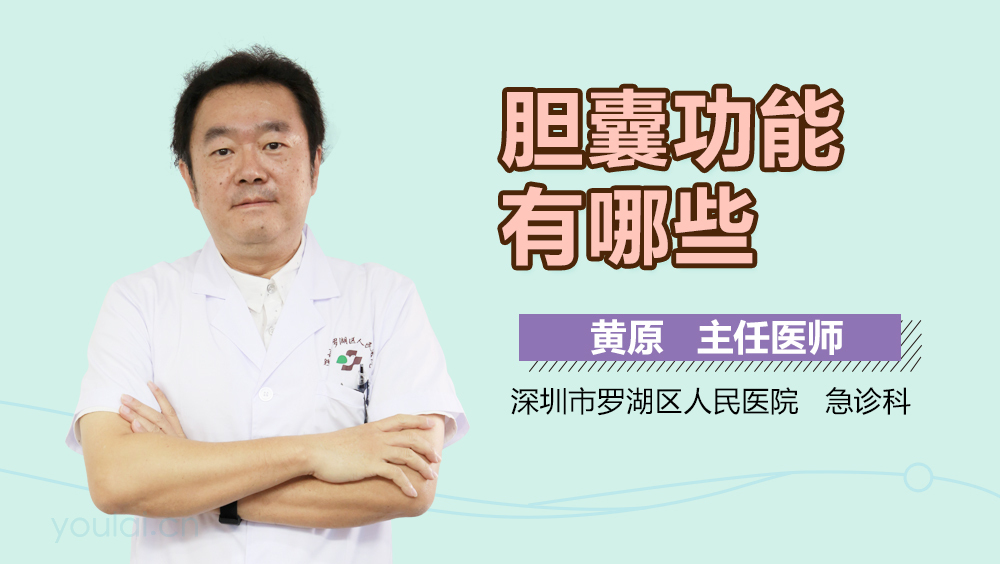 胆囊功能有哪些