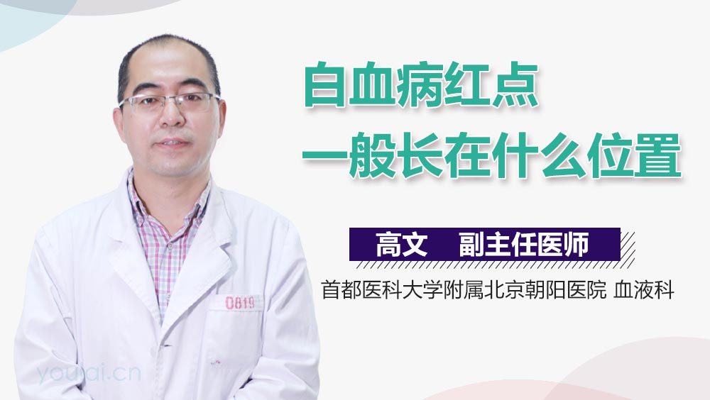 白血病红点一般长在什么位置